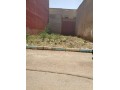al-aaroui-small-0