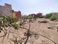 ihaddaden-nador-small-2