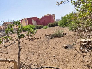 ihaddaden-nador