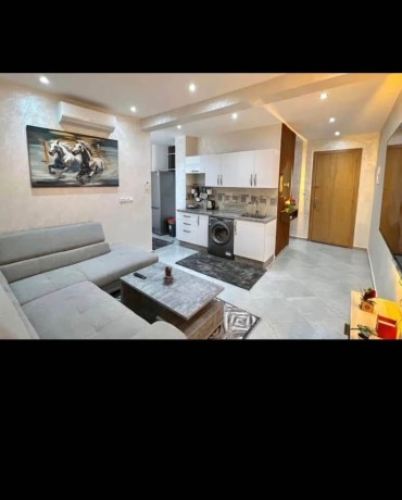 apt-for-rent-big-2