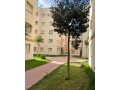 appartement-a-vendre-nador-centre-ville-small-4